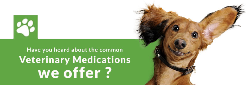 Veterinary Compounding Pharmacy in Michigan